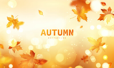 Wall Mural - Autumn sale falling leaves background nature