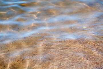 Wall Mural - Sandy seabed is under shallow water