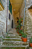 Fototapeta Na drzwi - Carpineto Romano, Italy, July 24, 2021. A street in the historic center of a medieval town in the Lazio region.