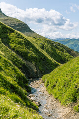 Wall Mural - Portrait of little stream going down into the green valley in the dolomites