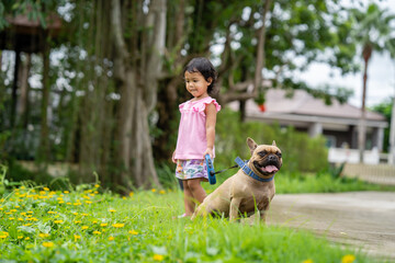 Wall Mural - Cute Asian small girl walking her dog