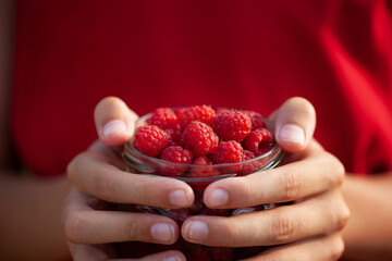 Wall Mural - Kid's hands hold a full jar of fresh raspberries ready ti eat on a summer day.