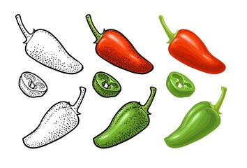 Wall Mural - Whole and slice pepper jalapeno. Vector color illustration isolated on white background.