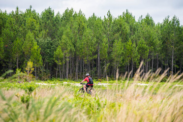 Wall Mural - cyclists on the cycle path crossing a beautiful forest