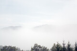 Fototapeta Na ścianę - Krajobraz leśny wierzchołki drzew las we mgle	