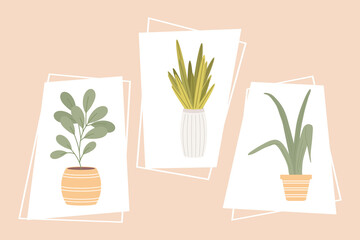 Poster - plants set inside pots