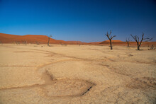 View Of The Iconic Desert In Namibia, View Of Deadvlei Salt Pan Trees In Sesreim Soussuvlei Namib-Naukluft National Park, Namibia.