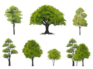 Wall Mural - vector watercolor green tree side view isolated on white background for landscape and architecture l