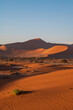 Dunes of Soussuvlei salt pan in Namib-Naukluft National Park, a popular travel destination in Namibia, Africa.