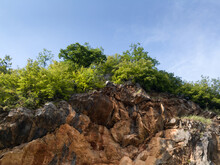 Yellow Rock Cliff With Vegetation On Top Against Blue Sky