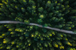 © AmazingAerialAgency - Aerial view of silver vehicle driving through wild forest road in countryside.
