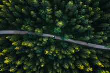 Aerial View Of Silver Vehicle Driving Through Wild Forest Road In Countryside.