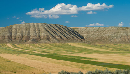 Wall Mural - Crop fields on the plateau plains