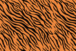 Tiger safari texture background print. Black and orange stripped tiger skin pattern. African tiger.