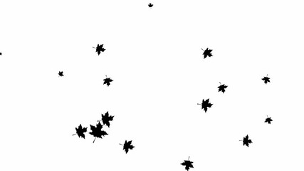 animated background with black autumn leaves. motion autumn leaf fall. it is falling. vector flat il