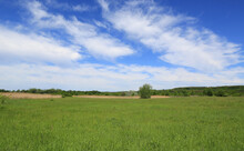  Green Pasture Under Nice Clouds In Blue Sky