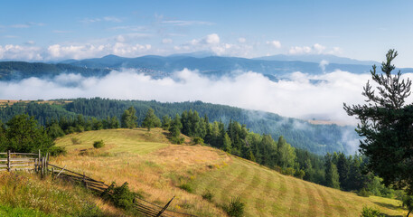 Wall Mural - amazing panoramic view with morning mists and low clouds over the tree-covered mountain slopes, rhod