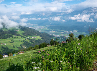 Wall Mural - Sommerliche Wiese in den Tiroler Alpen