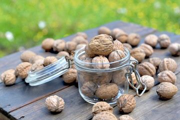 Wall Mural - walnuts  in a glass jar and others on a wooden table and green background