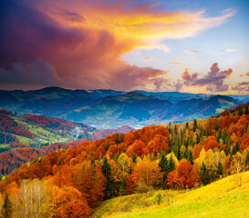 Poster - Magical view of the evening mountains with yellow and red trees on the slopes.