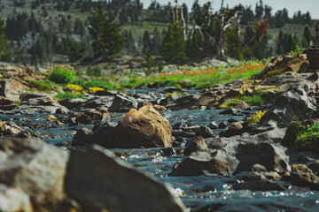 Sticker - Creek in mountains