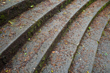 Wet Granite Stone Steps Covered In Dead Slippery Leaves