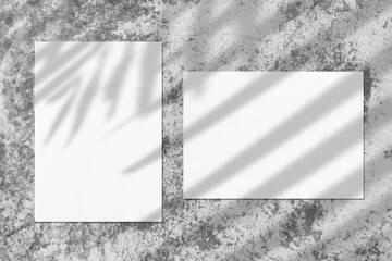 Two empty white vertical and horizontal rectangle poster or card mockups with soft tree leaves and branches shadows on neutral light grey concrete wall background. Flat lay, top view