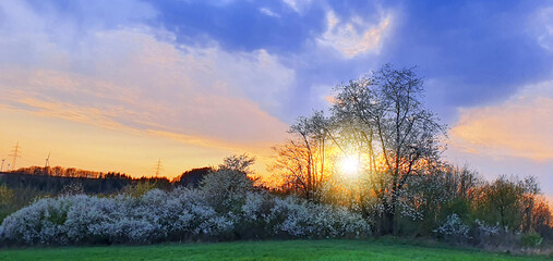 Wall Mural - Colorful dramatic sunset with clouds and trees.