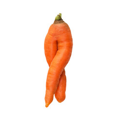 Ugly carrot on a white background. Isolated vegetable.