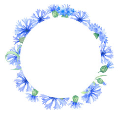  Round frame with blue cornflower flowers, a wreath of summer field grasses and leaves. watercolor illustration with summer herbs, meadow flowers