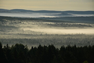 Wall Mural - A fog on a July morning over the Appalachians, Sainte-Apolline, Québec, Canada