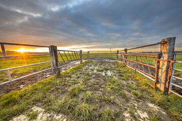 Wall Mural - Sunset over gate in lowland meadow