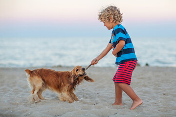 Wall Mural - Curly boy playing with a dog by the sea