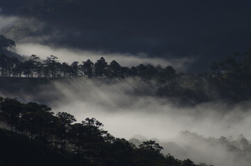 Wall Mural - beauty of light and fog in valley