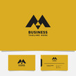 Simple and minimalist geometric mountain letter M logo