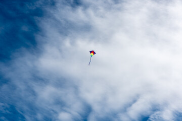 Wall Mural - colorful kites flying over the sky