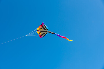 Wall Mural - colorful kites flying over the sky