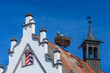 Störche am Nest auf dem Rathaus der schwäbischen Kleinstadt Wemding im Nördlinger Ries