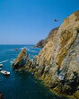 Cliff Diver Acapulco Mexico