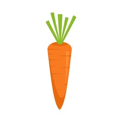 Canvas Print - Vegetable carrot icon flat isolated vector