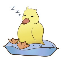Cute Sleeping Duck Sitting On A Pillow.