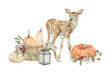 Watercolor autumn composition with cute forest deer, pumpkins in the basket, lantern, floral elements. Fall animals, vegetables, harvest season.