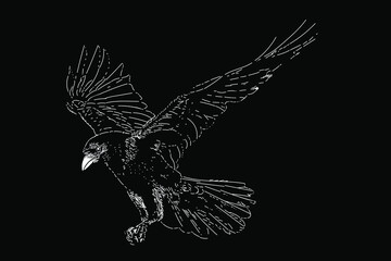 raven drawing in scratch style. vector isolated elements on the black background.