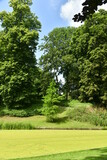 Fototapeta Natura - Végétation luxuriante en été dominant un étang couvert de mousse verte au parc des Trois fontaines à Vilvoorde 