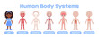 © Aleksandra - Black Cute Afro Girl and the Human Body System. Muscular, Skeletal, Nervous, Digestive, Circulatory, Respiratory. Flat Color Cartoon Style. White background. Design for kids medical education. Vector