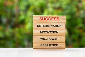 Wall Mural - Success, determination, motivation, willpower, resilience text on wood block
