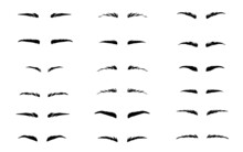 Set Of Eyebrows Shape.  Eyebrow Silhouette For Women. Classic Type And Different Thickness Of Brows. 
