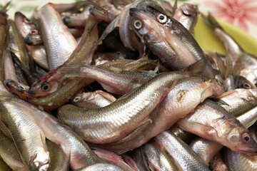 Collection of smelt or European smelt fish for sale in the market