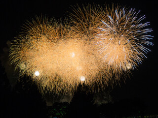 Fireworks, a Japanese summer tradition.