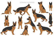 German Shepherd Dog  In Different Poses And Coat Colors Clipart